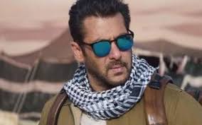 new delhi , Pakistan declares, Salman a terrorist