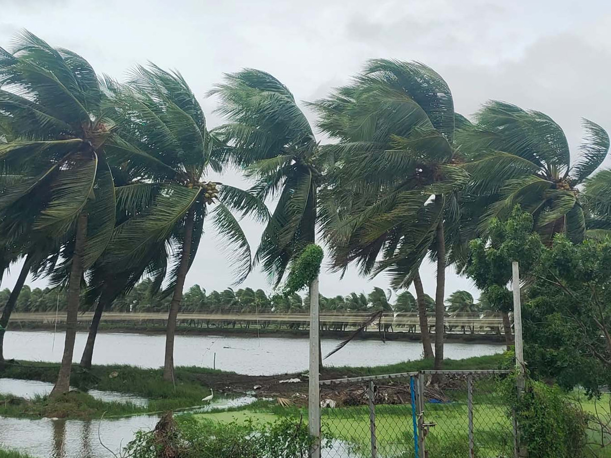 hydrabad, Montha effect.,Telangana!