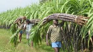 khatima, Farmers held a meeting , rate of sugarcane