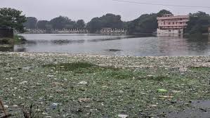 chatarpur, Local people , water of the pond
