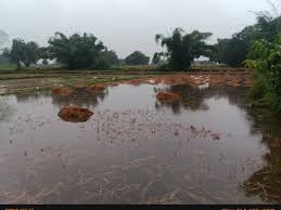 singroli, Waterlogging occurred , Pachor Zero bridge