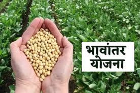 bhopal, Model rate ,soybean  