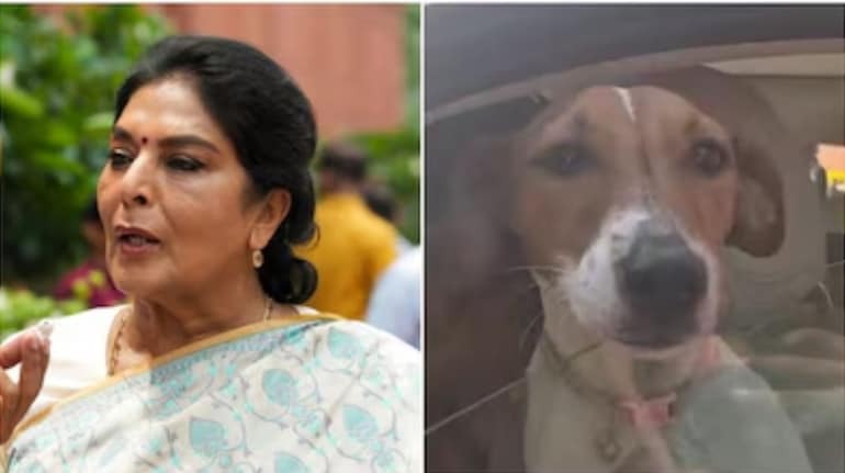 New Dehli , Congress MP Renuka Chowdhary, Parliament premises with a dog