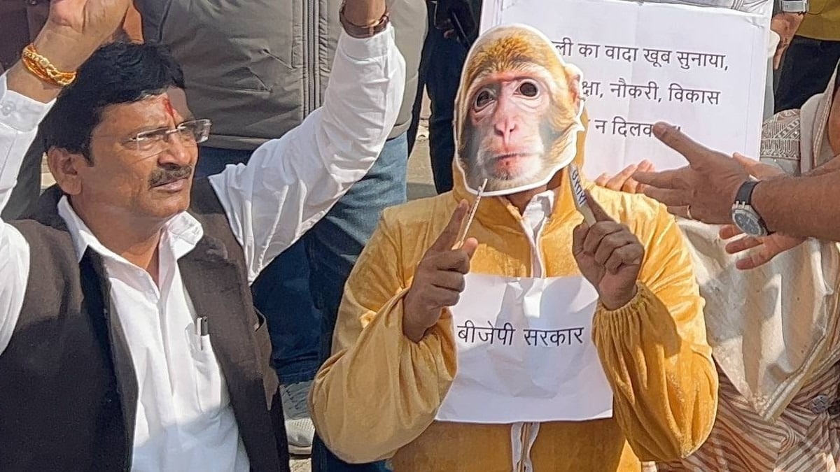 Bhopal , Congress MLA,   Assembly ,monkey