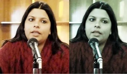 Lucknow , IAS Anamika Singh,  decided , voluntary retirement