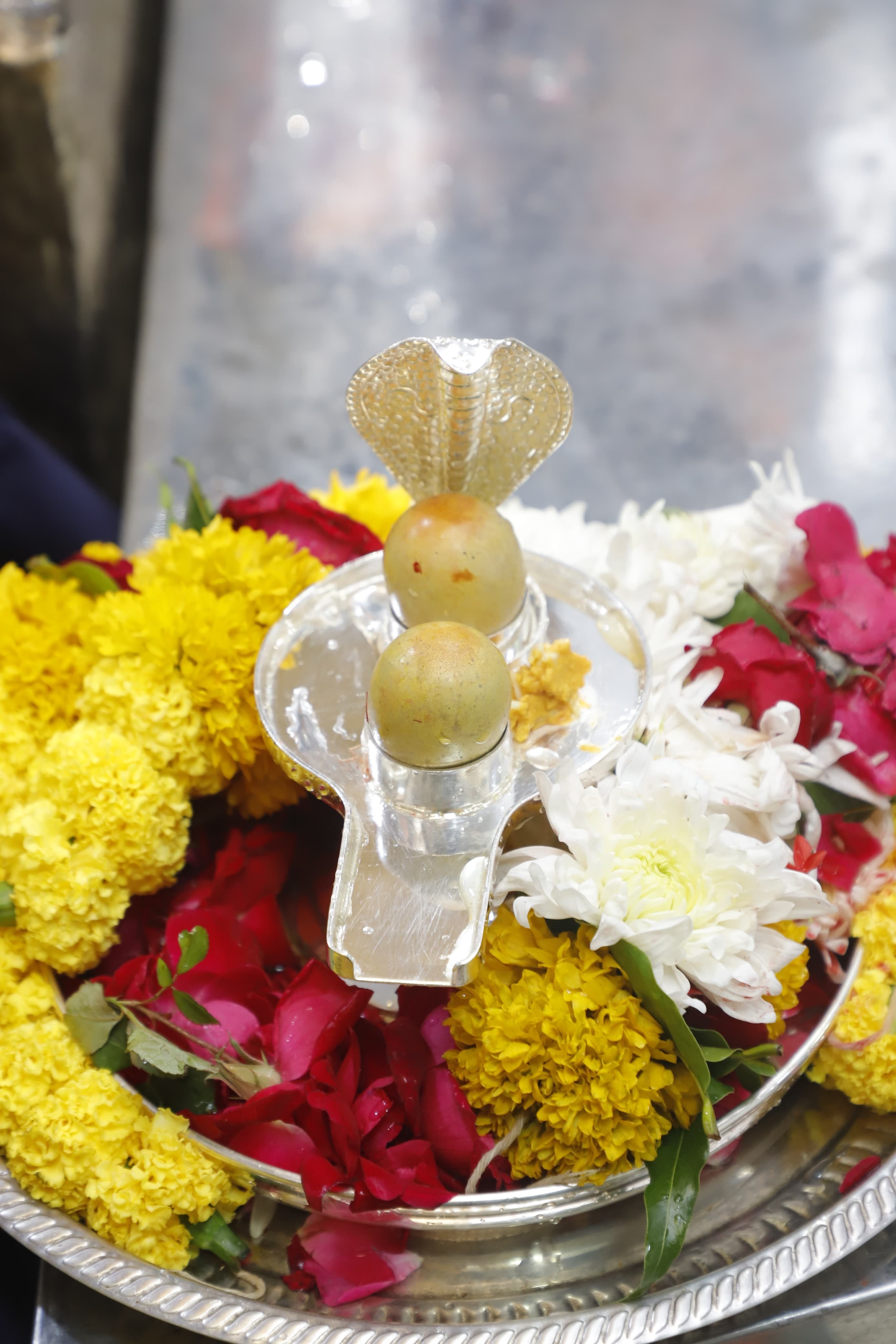 Ujjain,divine relics ,Somnath arrive in the city of Mahakal