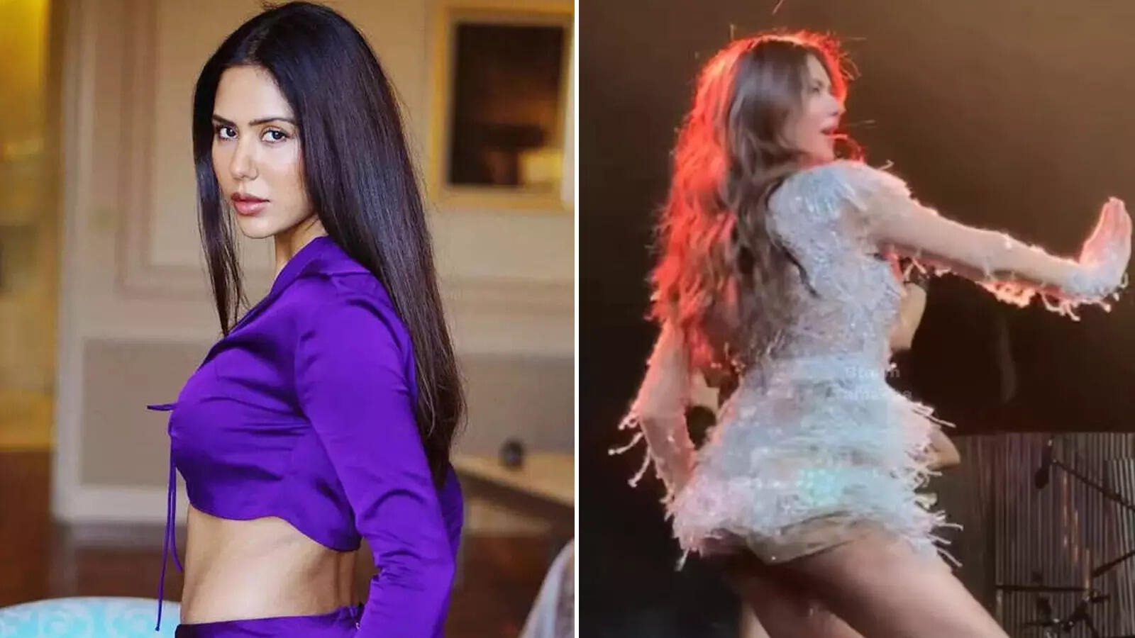 Ludhiyana ,Sonam Bajwa, New Year , performance , controversy