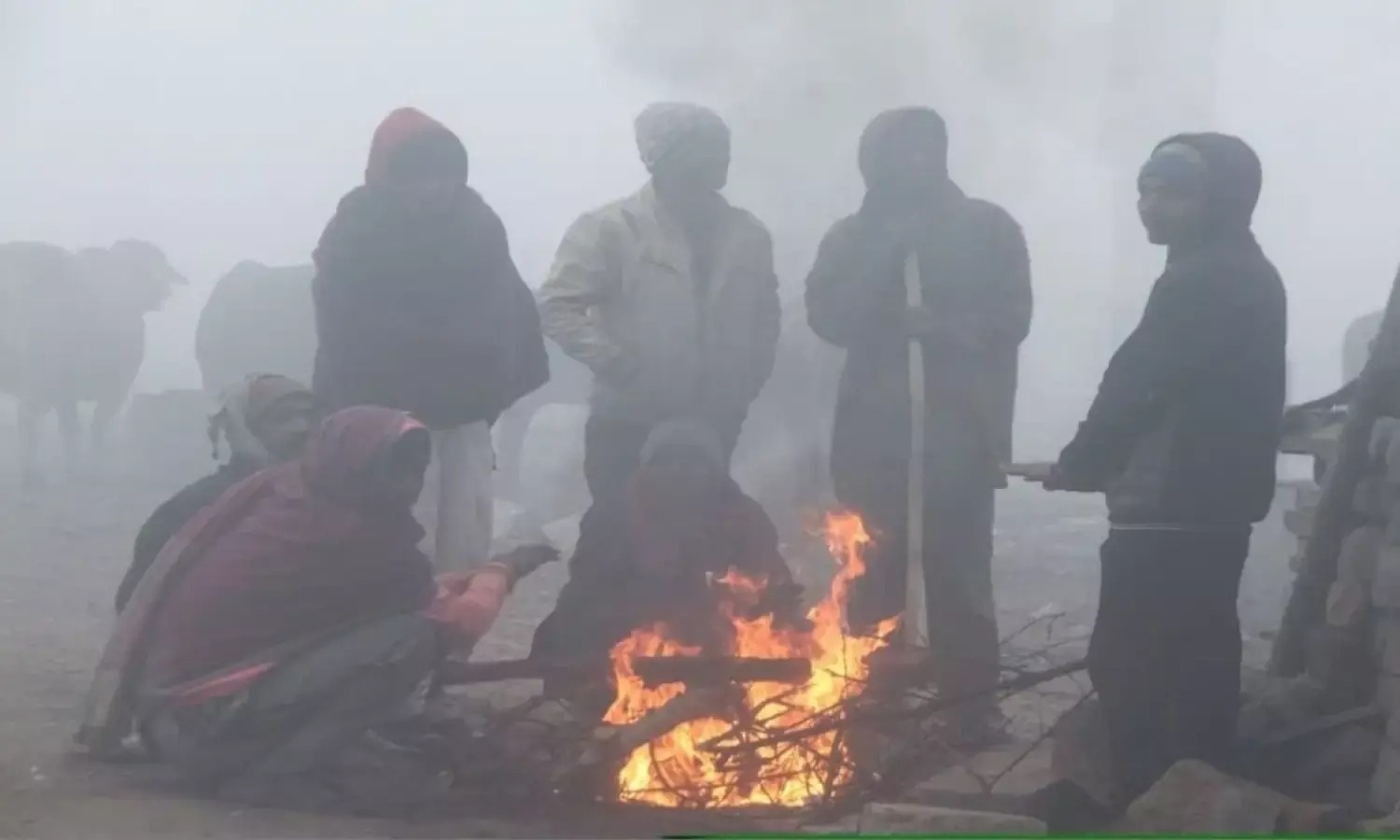 Severe cold , dense fog , MP