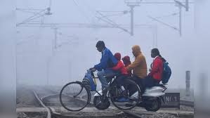 Cold wave, fog and cold wave,  wreak havoc , state