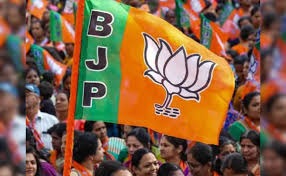 New Dehli , BJP, National President election , schedule finalised