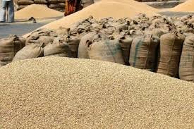 Rajgarh,.Armed criminals ,biggest wheat ,robbery, Rajgarh, turning ,warehouse, cantonment.