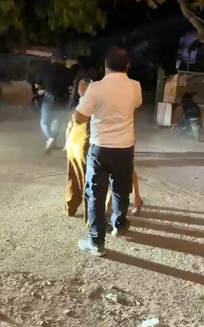 High-voltage drama in Bhopal, girls fight outside club