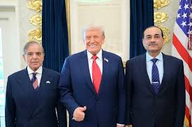 Diplomatic activity , Pakistan: US Vice President , Pak PM meet