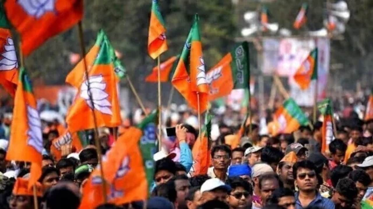Gujarat, civic polls, Counting underway, BJP strong, Surat, AIMIM, enters Bhuj