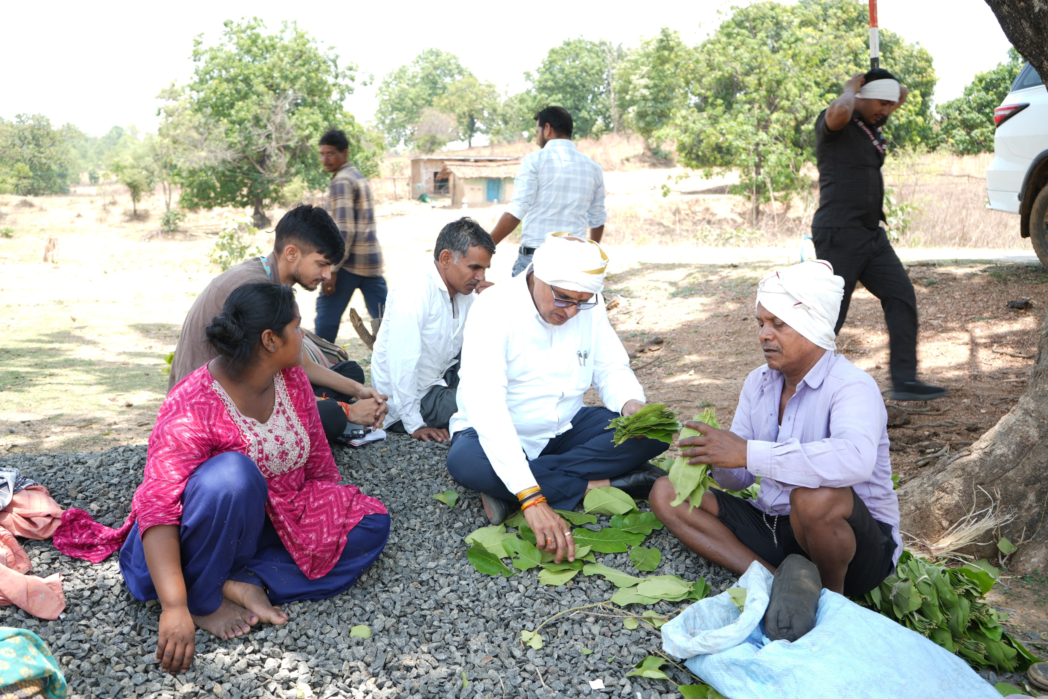 MP Dr. Rajesh Mishra, reached ,Baiga families, experienced tying tendu leaves