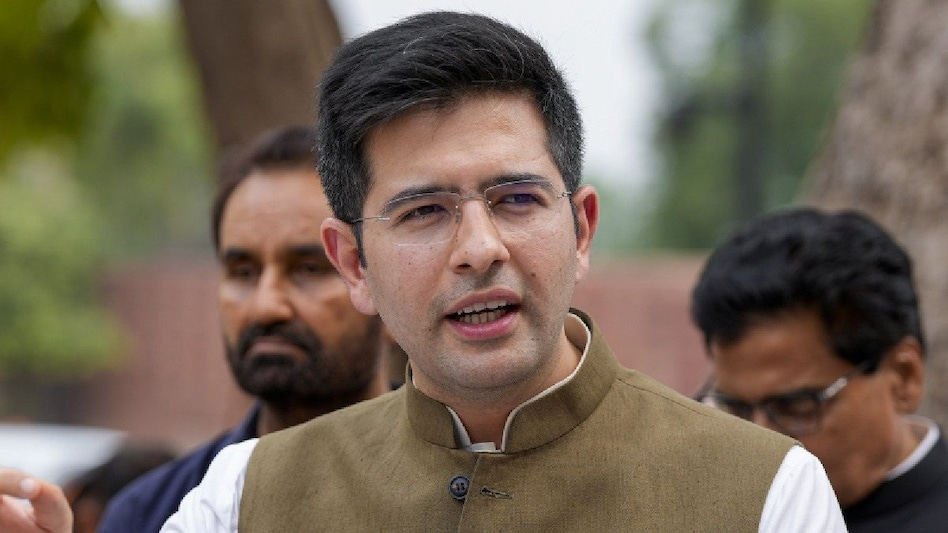 Delhi, High Court, deepfake case, Raghav Chadha , criticism