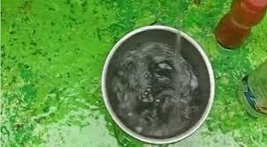 Black, foul-smelling water, Jabalpur, drinking water.