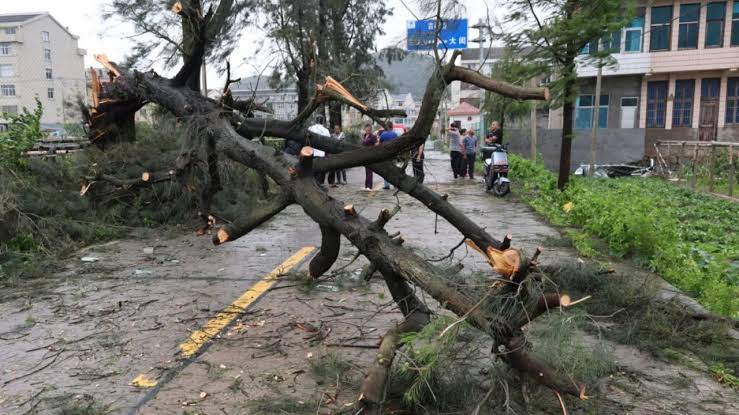 Typhoon Bavi , Philippines, ,2 million people relocated, safety m China