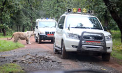 मंत्री के पास आया  व्हाइट टाइगर 