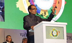 ग्लोबल इन्वेस्टर्स समिट-2016