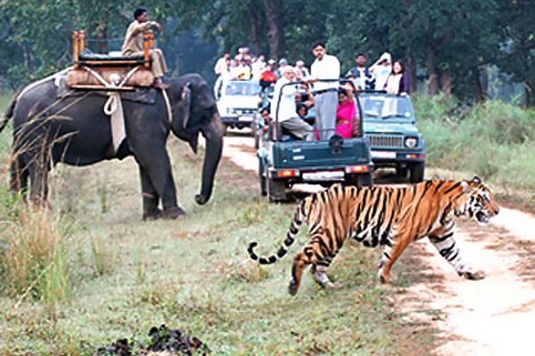 mp पर्यटन विकास निगम