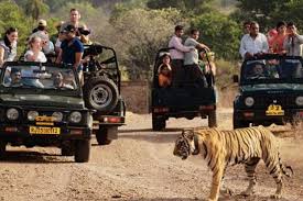 mp पर्यटन विकास निगम