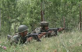 महाराष्ट्र के नितिन सुभाष शहीद