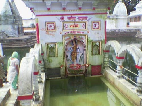 दुनिया की अनूठी यात्रा  नमामि देवि नर्मदे