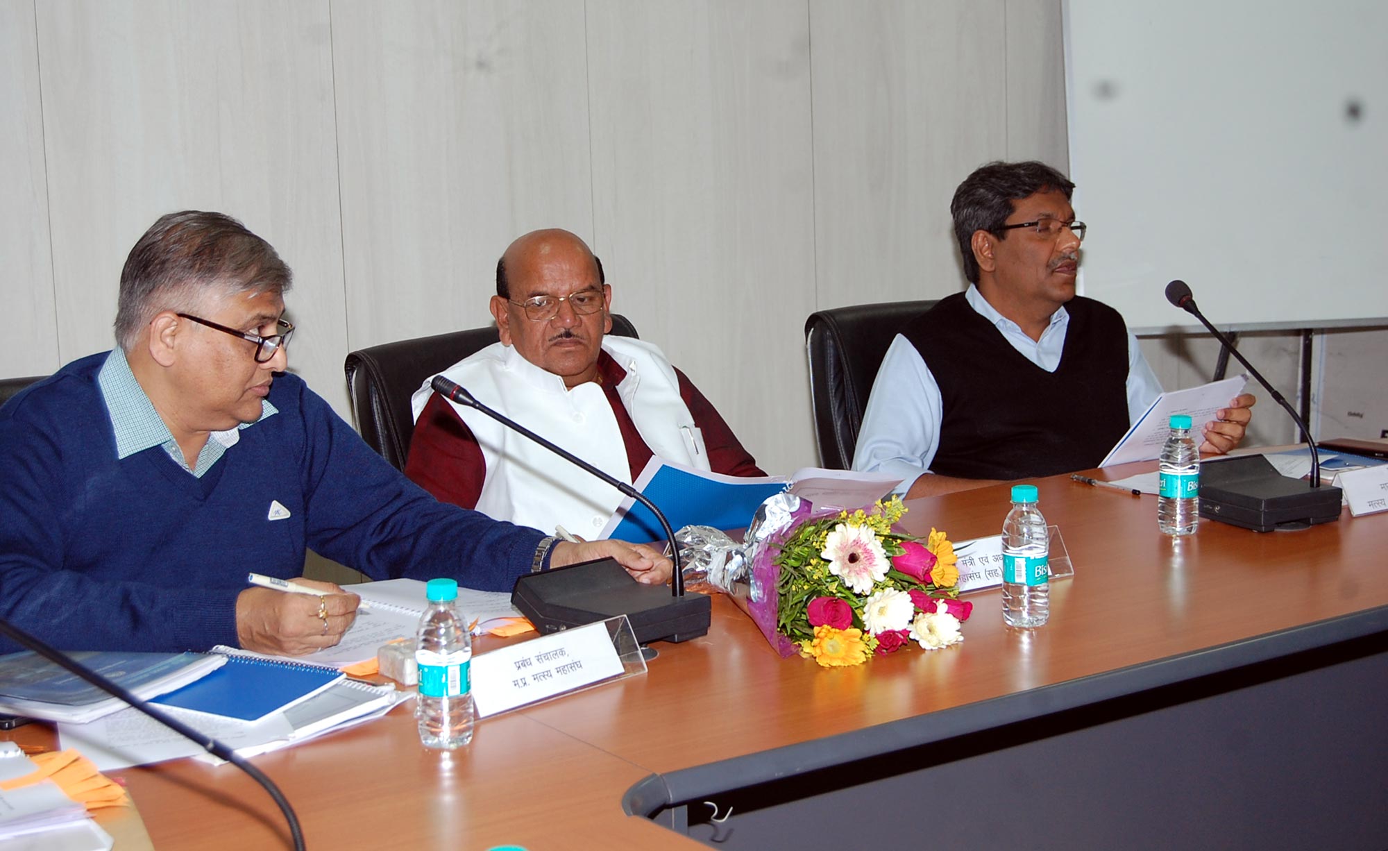 मछली ऑनलाइन 