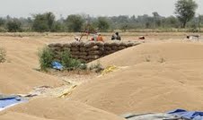 इस साल गेहूँ  पर खर्च होंगे 22,000 करोड़