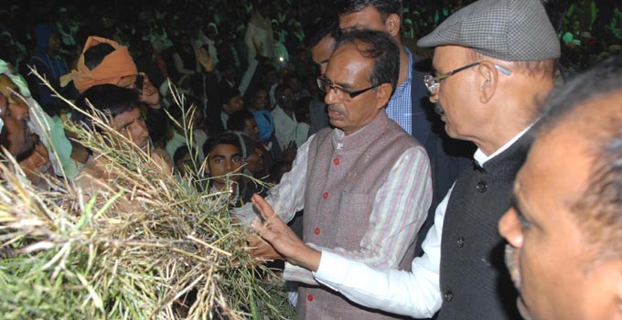 ओला पीड़ित 