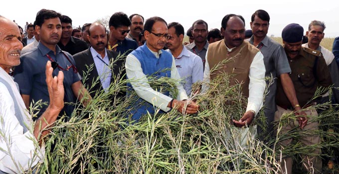 चंबल  एक्सप्रेस-वे