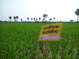 जैविक खेती बढ़ाने निजी क्षेत्र आया आगे