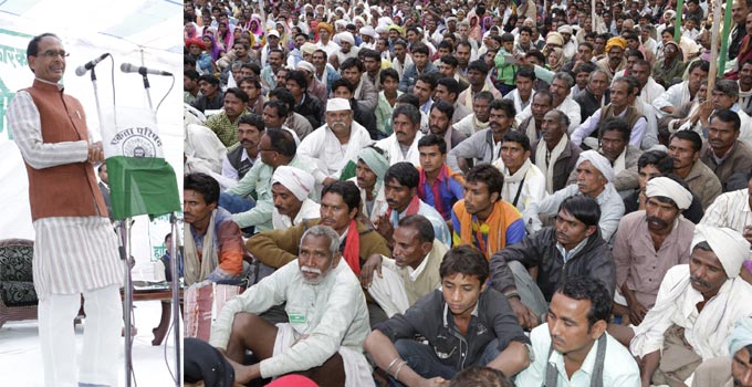 वन क्षेत्र 