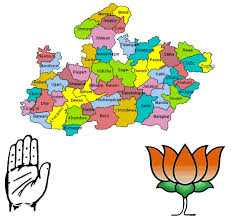 नगरीय निकाय निर्वाचन-2014