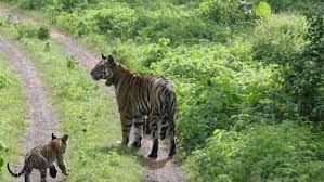 tiger reserve