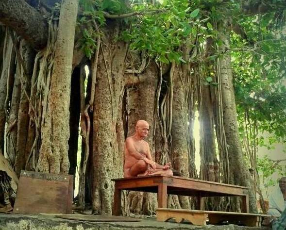 vidhyasagr chaturmaas